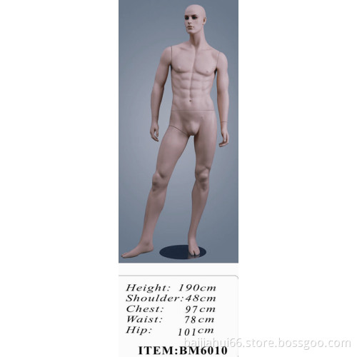 male mannequin